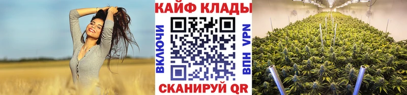 Цена Шатура APVP  МАРИХУАНА  ТГК  МЕФ  ГАШИШ  Cocaine 