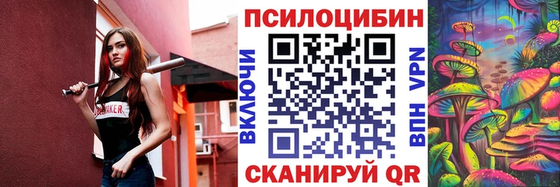 OMG сайт  купить наркотик  Шатура  Псилоцибиновые грибы MAGIC MUSHROOMS 